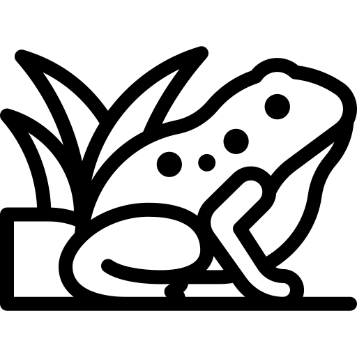 arrow divider